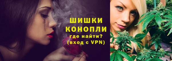 молекула духа Верхний Тагил