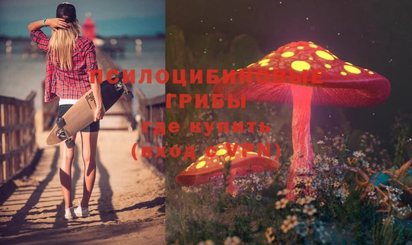молекула духа Верхний Тагил