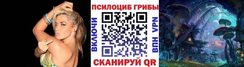 Псилоцибиновые грибы прущие грибы  Северобайкальск 